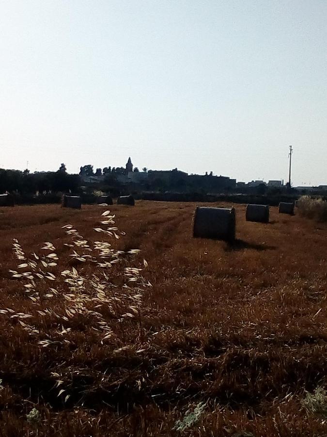 לינה וארוחת בוקר קסטריניאנו דל קאפו Cortile Calinea מראה חיצוני תמונה