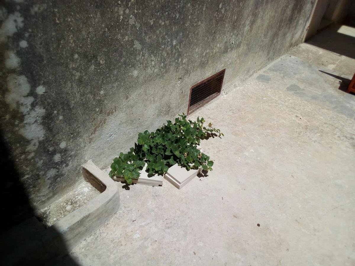 לינה וארוחת בוקר קסטריניאנו דל קאפו Cortile Calinea מראה חיצוני תמונה