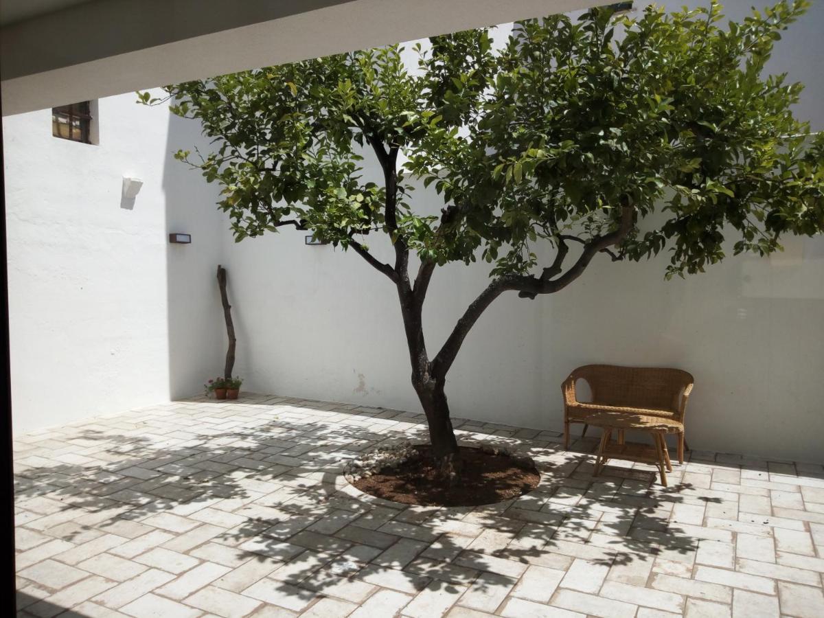 לינה וארוחת בוקר קסטריניאנו דל קאפו Cortile Calinea מראה חיצוני תמונה
